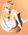 ニーソキタキツネちゃん