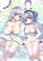 イラストリアスとユニコーン