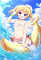 新連載のお知らせ