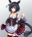 エイシンフラッシュ