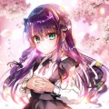 桜と君と