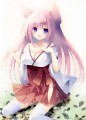 狐のおねーさん/knr