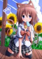 「・・・にゃ。」