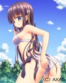 ぱすてるモード
