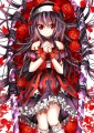 赤目の吸血姫