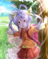 にゃんぱすー