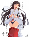 飛鷹改