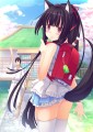 いぬみみおしりまるだしっ娘