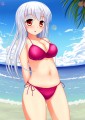 水着の彼女と
