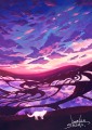 棚田雲と白猫の旅